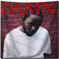 Damn Flag