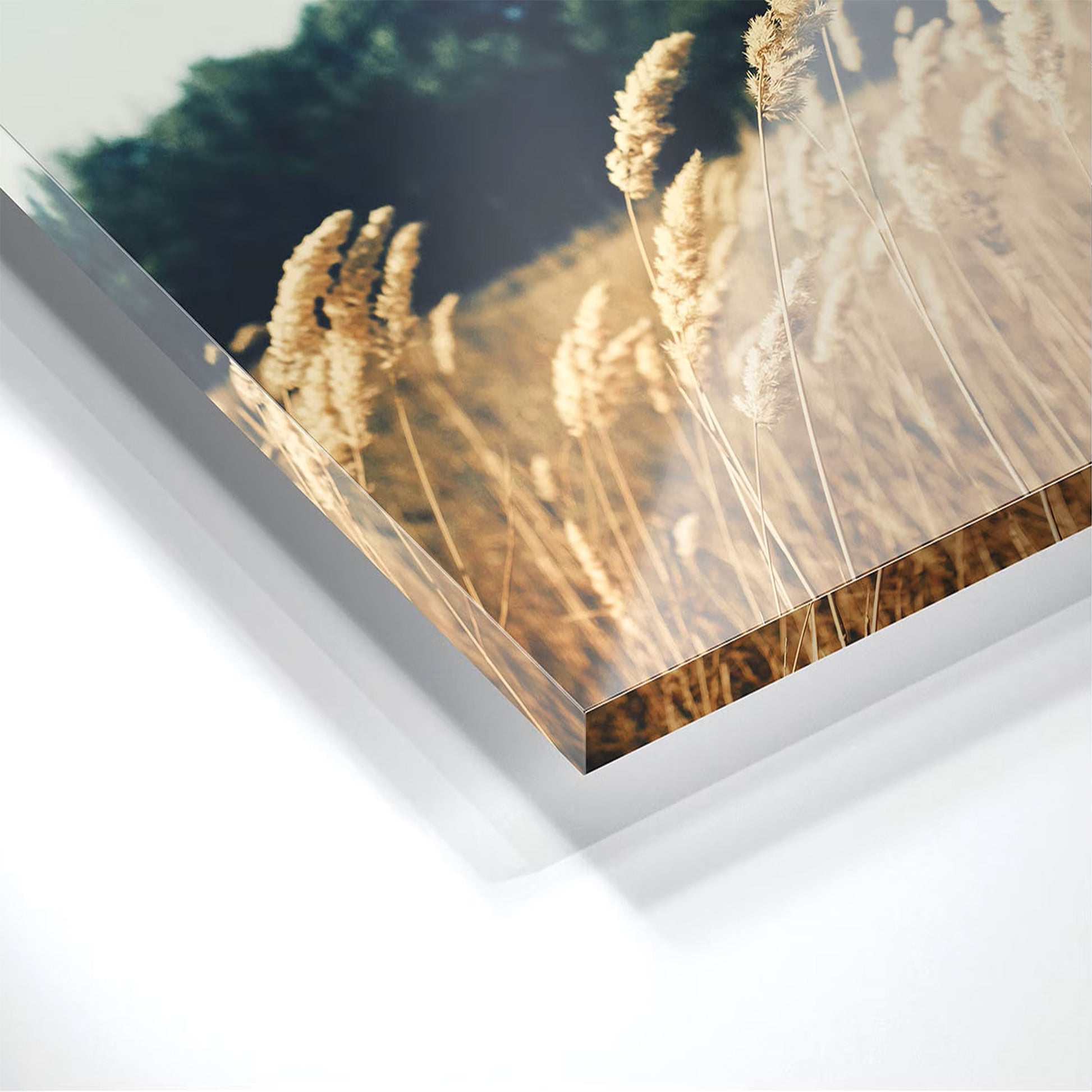 Goodbye & Good Riddance Acrylic Plaque – Aozora