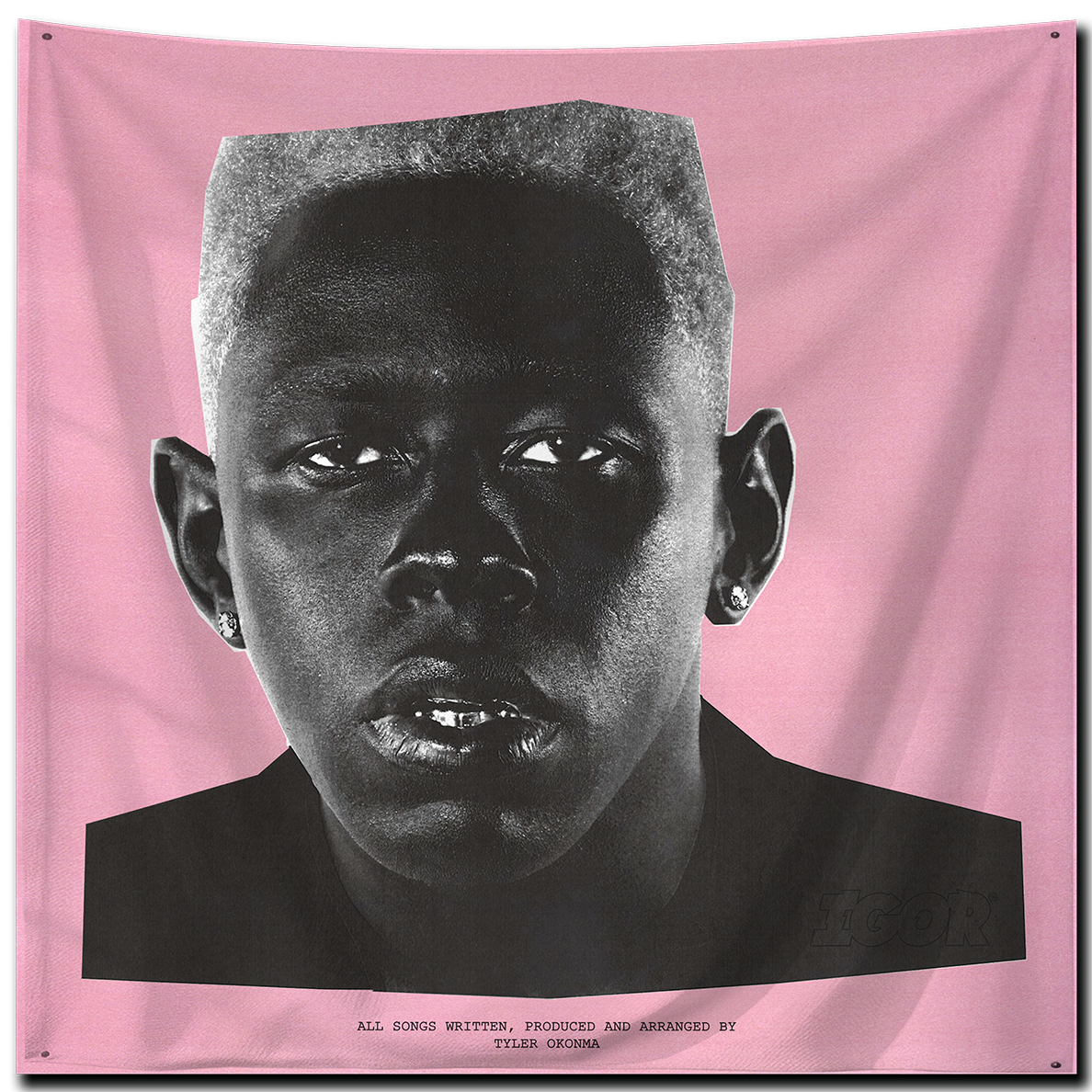 IGOR Flag