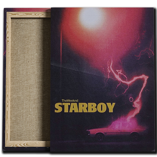STARBOY CANVAS
