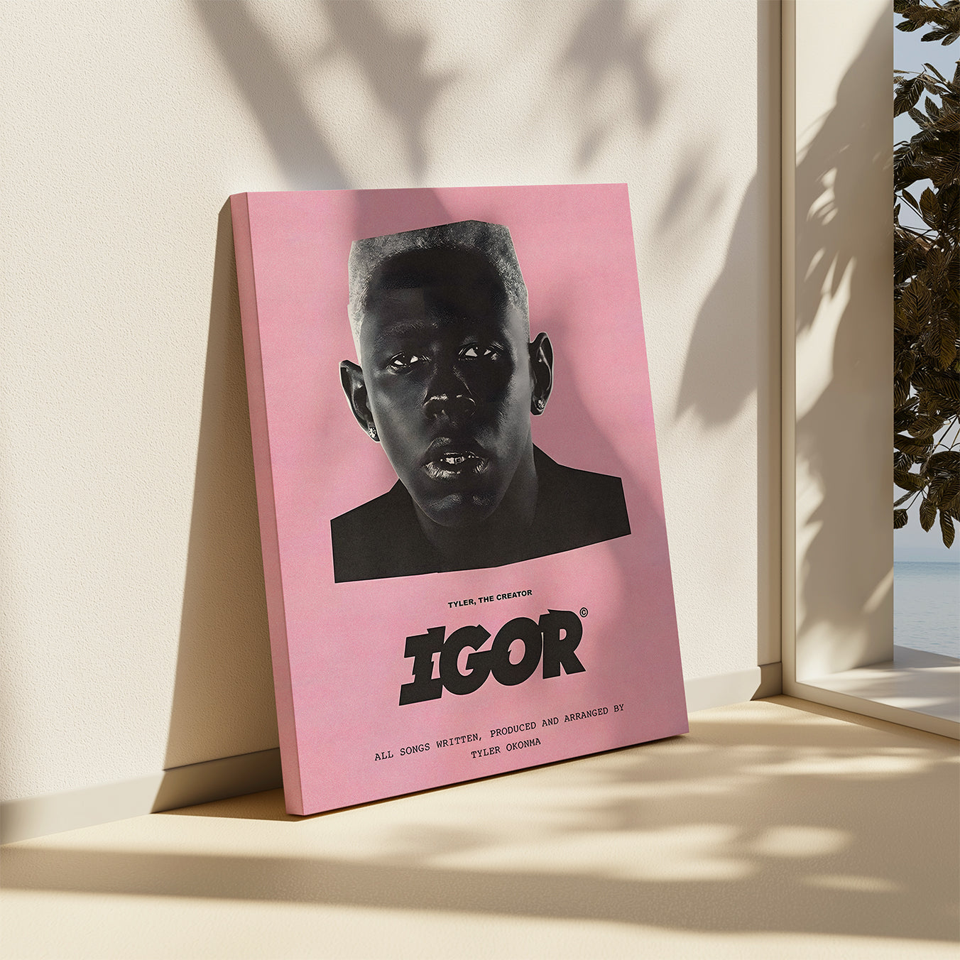 IGOR Canvas