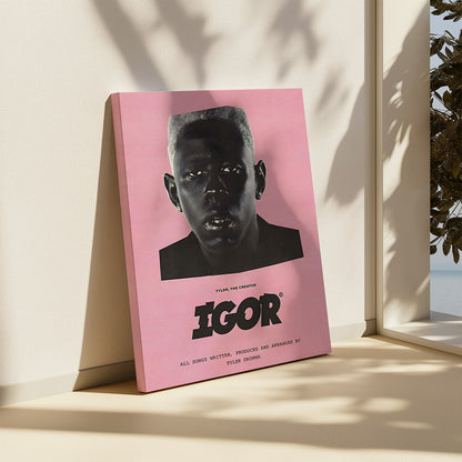 IGOR Canvas