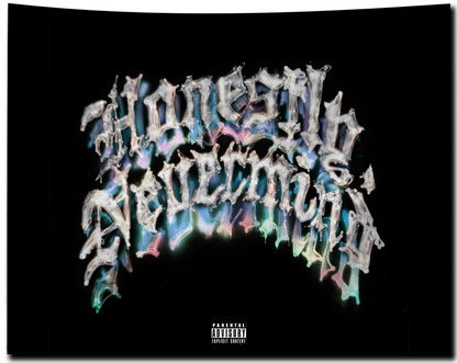 Honestly Nevermind Flag